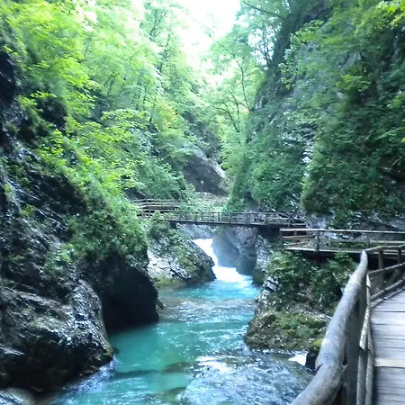 Casa de hóspedes Apartma Zvan 3*