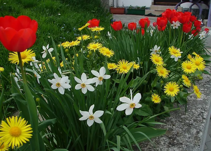 Apartma Zvan 3* 布莱德