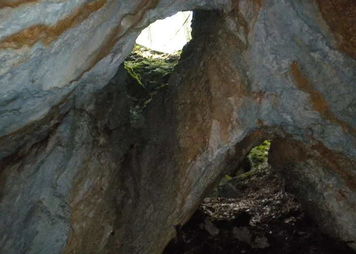 Hiša za goste Apartma Zvan Bled