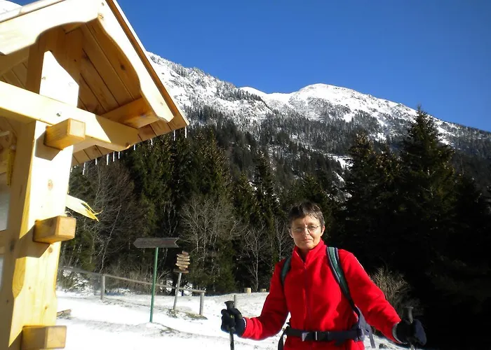 Apartma Zvan 布莱德