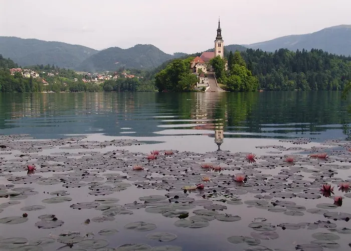 Hiša za goste Apartma Zvan Bled