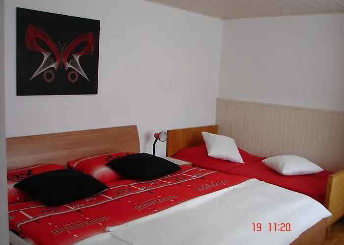 Apartma Zvan 招待所 3*