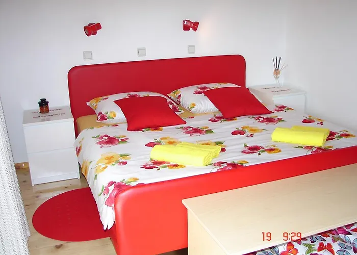 招待所 Apartma Zvan 布莱德