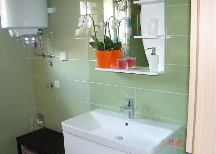 Apartma Zvan 招待所 3*